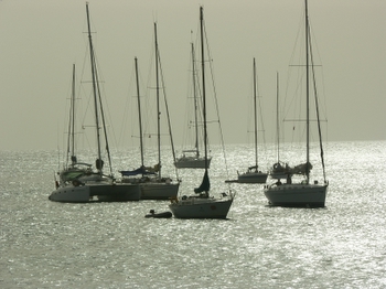 Boats at rest