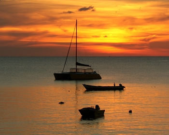 Boats at sunset